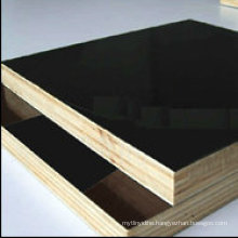 Black Film Faced Plywood or Marine Wood